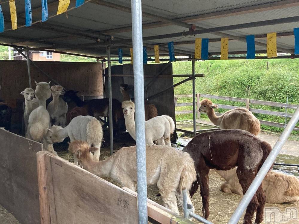 Įʥå륺СL'asile(饸) ޤ104̥֥罸