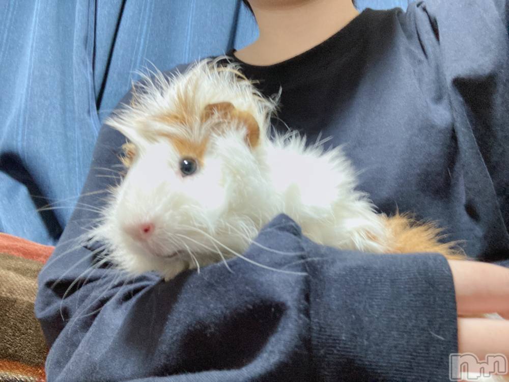 Įʥå륺СL'asile(饸) ޤ126̥֥֤ॹ☃️