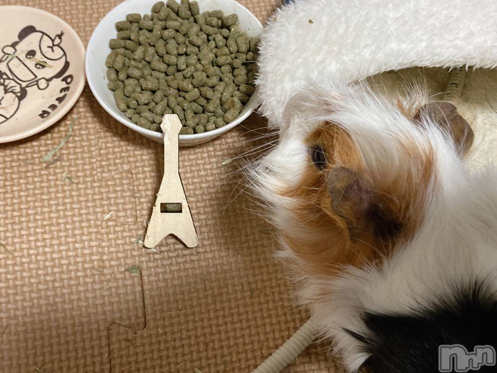 Įʥå륺СL'asile(饸) ޤ130̥֥֥åˤʤ