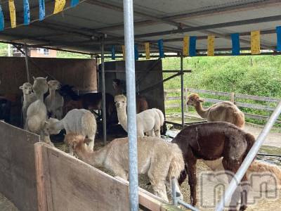 Įʥå륺СL'asile(饸) ޤ104̥֥罸