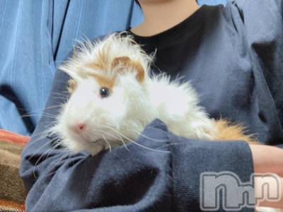 Įʥå륺СL'asile(饸) ޤ126̥֥֤ॹ☃️