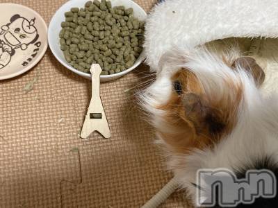 Įʥå륺СL'asile(饸) ޤ130̥֥֥åˤʤ