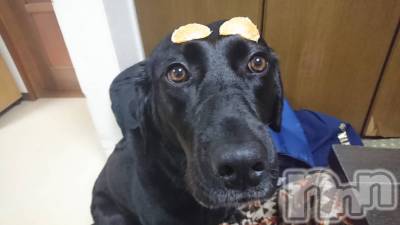 Įʥå륺СL'asile(饸) ޤ422̥֥֤ǯ򾤤줿