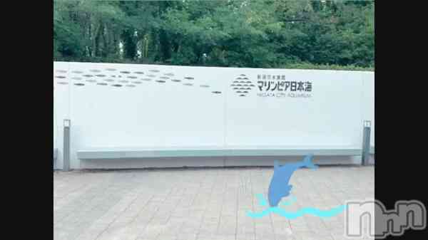֤3Ϣ١뎥&#x1F420;