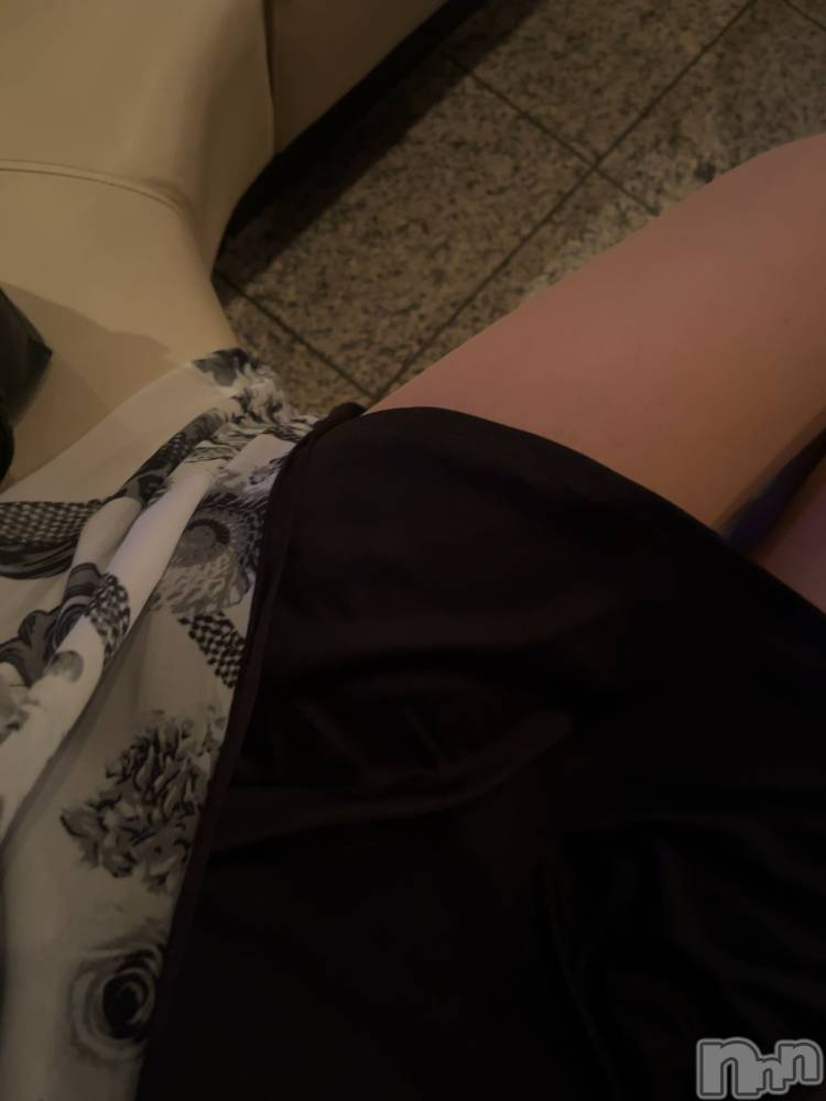 ܱХ顦֥ ץ ( ץ ޥĥ) ᤰߤ719̥֥20