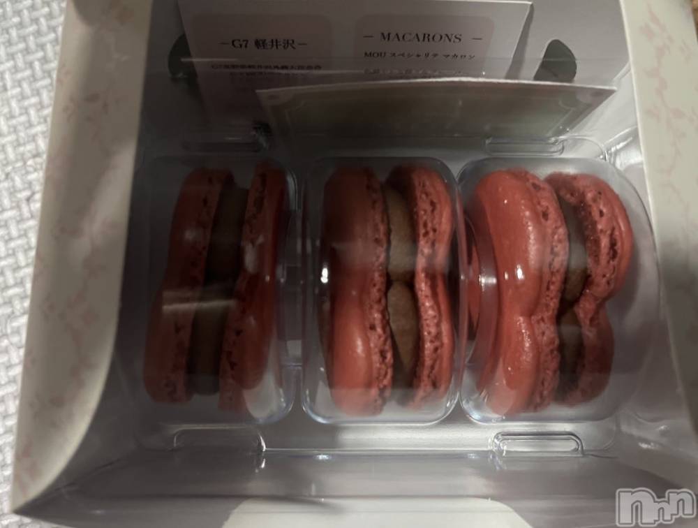 ���ܱ�������Х��顦����֥���� �ץ���� ����(����� �ץ���� �ޥĥ��) �ᤰ�ߤ�2��28���̥�֥�����2���