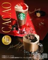 ���ܱ�������Х��顦����֥���� �ץ���� ����(����� �ץ���� �ޥĥ��) �ᤰ�ߤ�1��17���̥�֥����ֽжС�