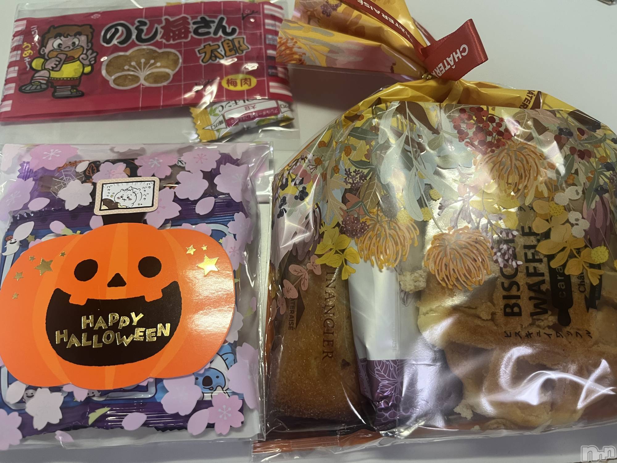 ܱХ顦֥ ץ ( ץ ޥĥ) 2025ǯ111̥֥20