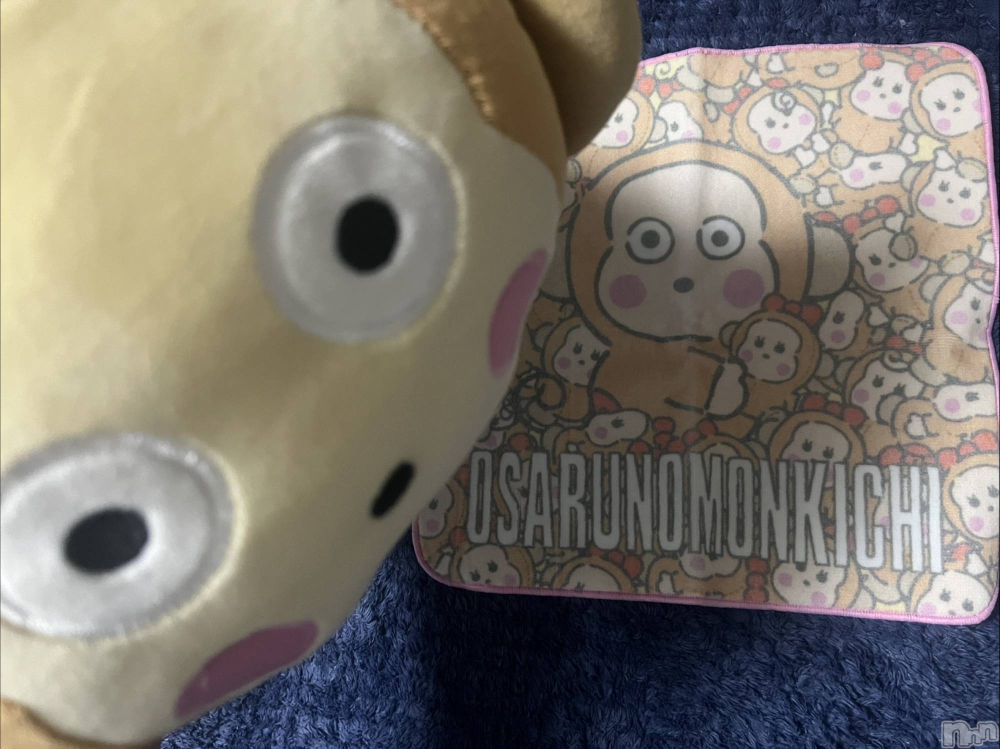 ܱХ顦֥ ץ ( ץ ޥĥ) 2025ǯ116̥֥20