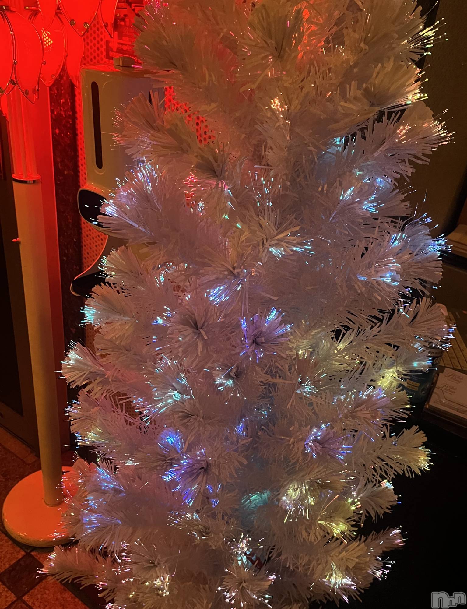 ܱХ顦֥ ץ ( ץ ޥĥ) 2025ǯ1114ֽ̥֥жС