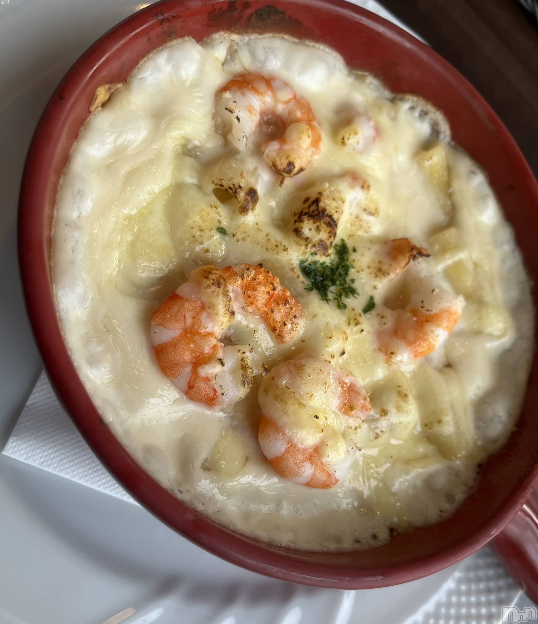 ܱХ顦֥ ץ ( ץ ޥĥ) 2025ǯ124̥֥20