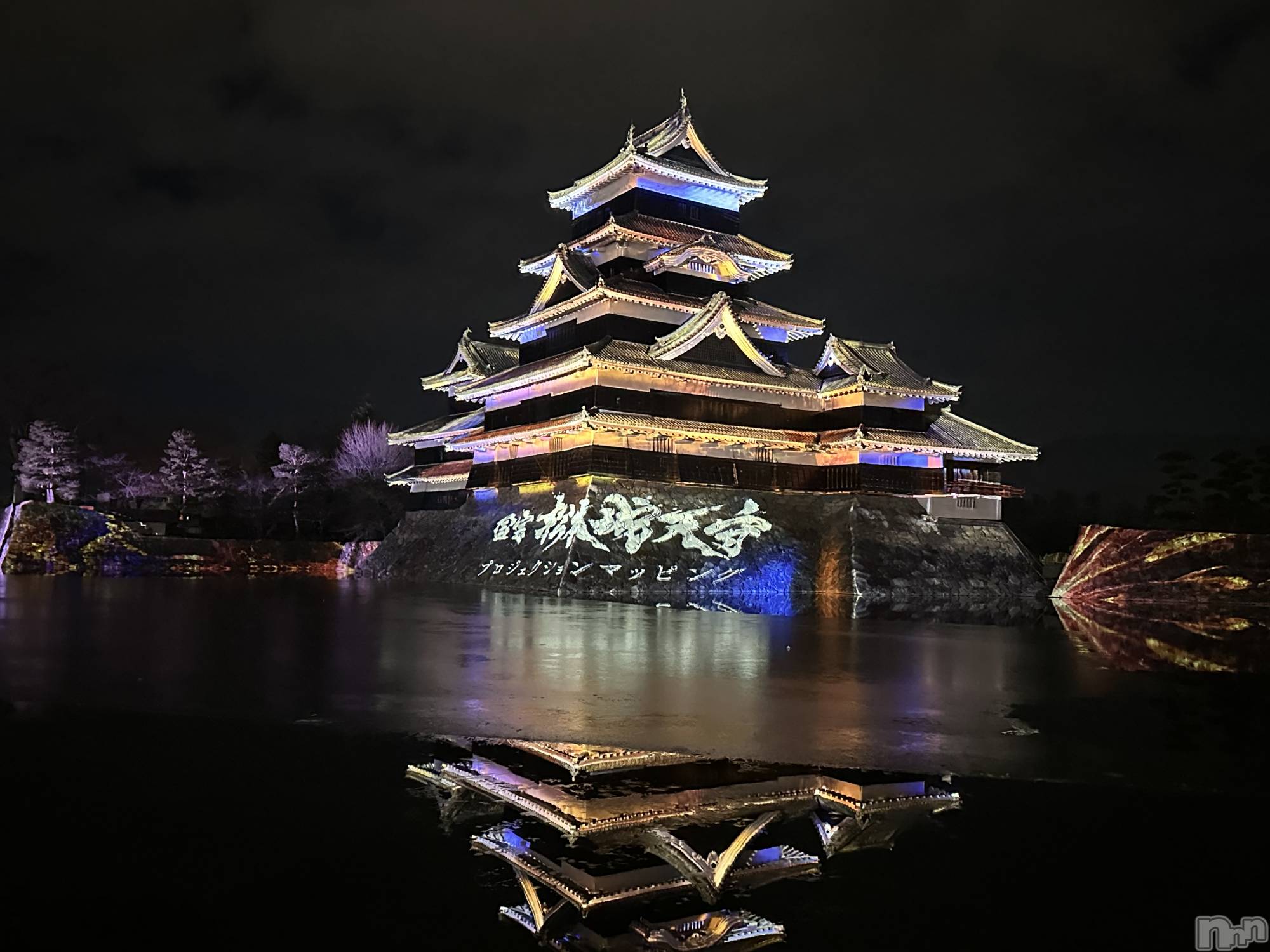 ���ܱ�������Х��顦����֥���� �ץ���� ����(����� �ץ���� �ޥĥ��) ��2026ǯ1��31���̥�֥����ֽжС�