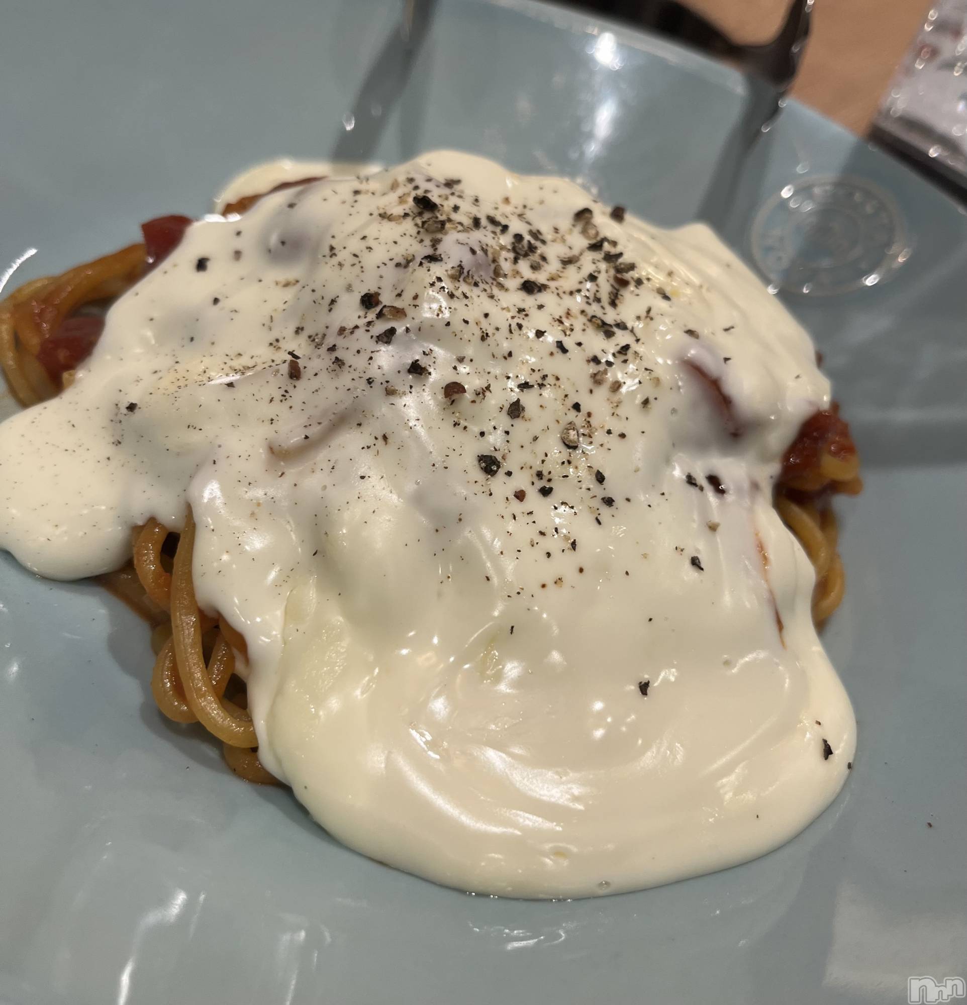 ���ܱ�������Х��顦����֥���� �ץ���� ����(����� �ץ���� �ޥĥ��) ��2026ǯ2��21���̥�֥�����👘��