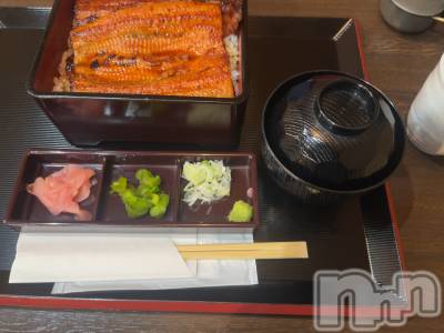 ܱХ顦֥ ץ ( ץ ޥĥ) ᤰߤ117̥֥20