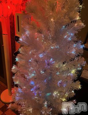 ܱХ顦֥ ץ ( ץ ޥĥ) ᤰߤ1114ֽ̥֥жС