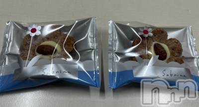 ���ܱ�������Х��顦����֥���� �ץ���� ����(����� �ץ���� �ޥĥ��) �ᤰ�ߤ�11��28���̥�֥����ֽжС�