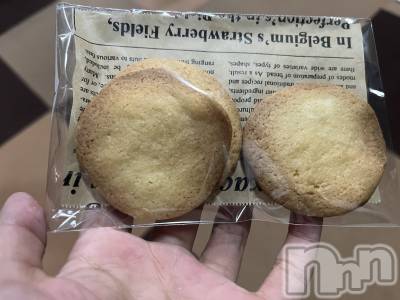 ���ܱ�������Х��顦����֥���� �ץ���� ����(����� �ץ���� �ޥĥ��) �ᤰ�ߤ�5��2���̥�֥�����5/2(��)��