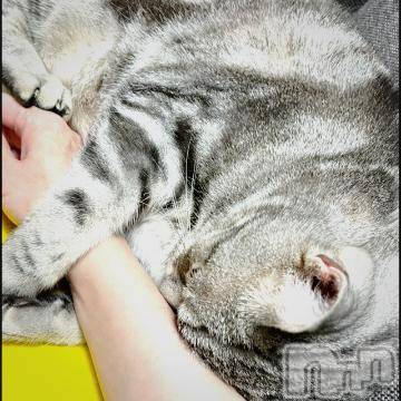 新潟デリヘル五十路マダム新潟店(カサブランカグループ)(イソジマダムニイガタテン) 夏目みな(51)の8月5日写メブログ「ウチの子」