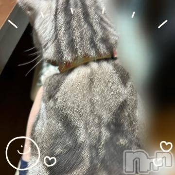 新潟デリヘル五十路マダム新潟店(カサブランカグループ)(イソジマダムニイガタテン) 夏目みな(51)の9月2日写メブログ「おはようございます」