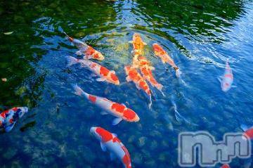 新潟デリヘル五十路マダム新潟店(カサブランカグループ)(イソジマダムニイガタテン) 夏目みな(51)の9月18日写メブログ「お疲れさまです」