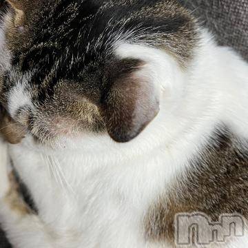 新潟デリヘル五十路マダム新潟店(カサブランカグループ)(イソジマダムニイガタテン) 夏目みな(51)の10月7日写メブログ「寒い」