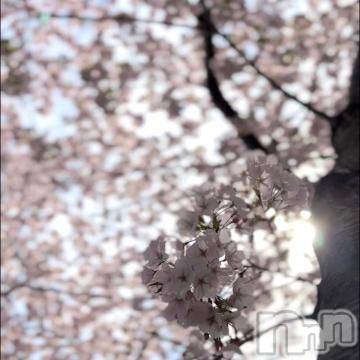 新潟デリヘル五十路マダム新潟店(カサブランカグループ)(イソジマダムニイガタテン) 夏目みな(51)の3月30日写メブログ「もしかして」