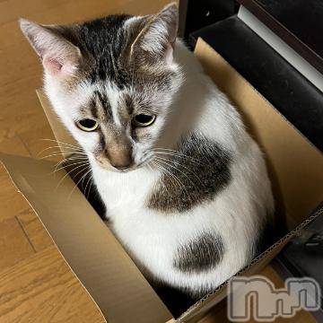 新潟デリヘル五十路マダム新潟店(カサブランカグループ)(イソジマダムニイガタテン) 夏目みな(51)の4月10日写メブログ「……」