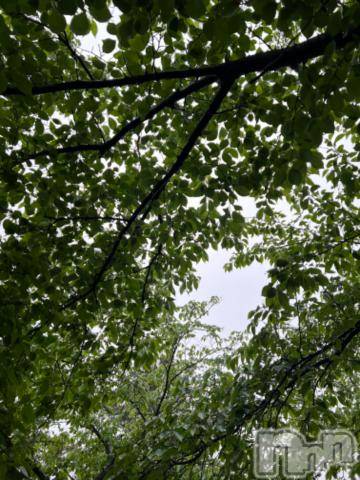 新潟デリヘル五十路マダム新潟店(カサブランカグループ)(イソジマダムニイガタテン) 夏目みな(51)の5月7日写メブログ「雨…」