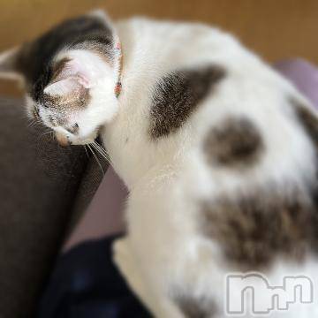 新潟デリヘル五十路マダム新潟店(カサブランカグループ)(イソジマダムニイガタテン) 夏目みな(51)の5月23日写メブログ「こんにちは」