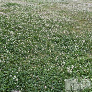 新潟デリヘル五十路マダム新潟店(カサブランカグループ)(イソジマダムニイガタテン) 夏目みな(51)の6月4日写メブログ「おはようございます」