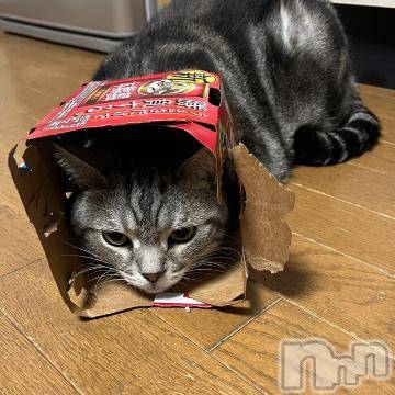 新潟デリヘル五十路マダム新潟店(カサブランカグループ)(イソジマダムニイガタテン) 夏目みな(51)の6月18日写メブログ「振り返ったら」