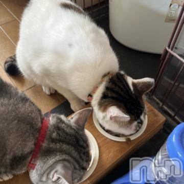 新潟デリヘル五十路マダム新潟店(カサブランカグループ)(イソジマダムニイガタテン) 夏目みな(51)の7月3日写メブログ「おととい…」