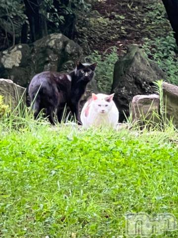 新潟デリヘル五十路マダム新潟店(カサブランカグループ)(イソジマダムニイガタテン) 夏目みな(51)の7月13日写メブログ「おはようございます」