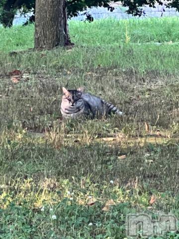 新潟デリヘル五十路マダム新潟店(カサブランカグループ)(イソジマダムニイガタテン) 夏目みな(51)の7月30日写メブログ「おはようございます」