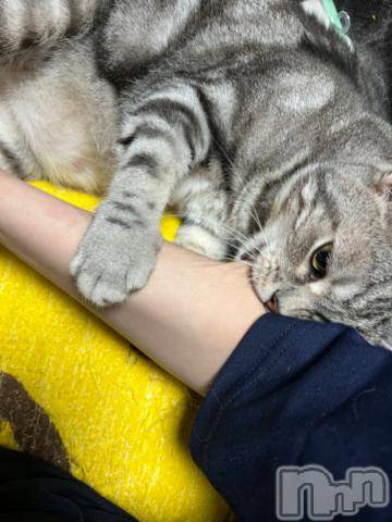 新潟デリヘル五十路マダム新潟店(カサブランカグループ)(イソジマダムニイガタテン) 夏目みな(51)の8月13日写メブログ「しつこく」