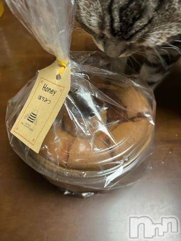 新潟デリヘル五十路マダム新潟店(カサブランカグループ)(イソジマダムニイガタテン) 夏目みな(51)の10月2日写メブログ「おはようございます」