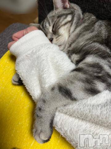 新潟デリヘル五十路マダム新潟店(カサブランカグループ)(イソジマダムニイガタテン) 夏目みな(51)の10月7日写メブログ「おはようございます」