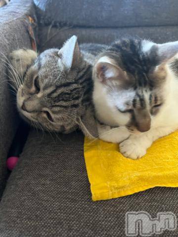 新潟デリヘル五十路マダム新潟店(カサブランカグループ)(イソジマダムニイガタテン) 夏目みな(51)の10月13日写メブログ「こんにちは」