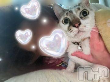 新潟デリヘル五十路マダム新潟店(カサブランカグループ)(イソジマダムニイガタテン) 夏目みな(51)の10月14日写メブログ「おはようございます」