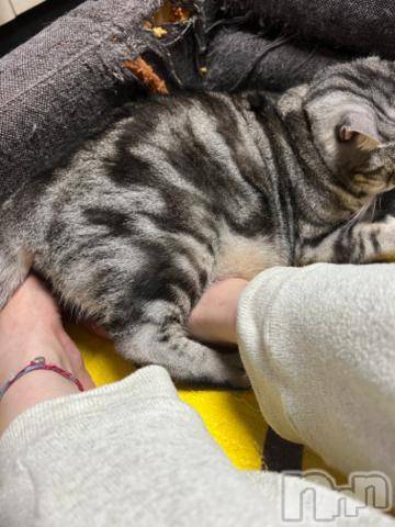 新潟デリヘル五十路マダム新潟店(カサブランカグループ)(イソジマダムニイガタテン) 夏目みな(51)の10月19日写メブログ「あったかい」