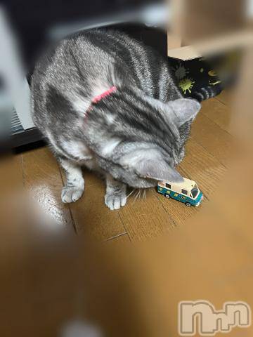 新潟デリヘル五十路マダム新潟店(カサブランカグループ)(イソジマダムニイガタテン) 夏目みな(51)の10月24日写メブログ「おもちゃ」