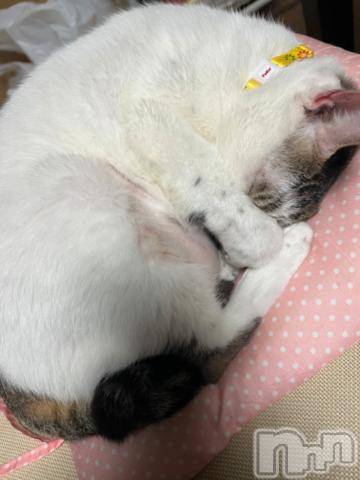 新潟デリヘル五十路マダム新潟店(カサブランカグループ)(イソジマダムニイガタテン) 夏目みな(51)の10月26日写メブログ「おはようございます」