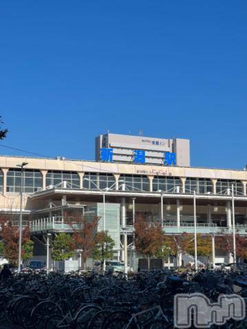 新潟デリヘル五十路マダム新潟店(カサブランカグループ)(イソジマダムニイガタテン) 夏目みな(51)の11月22日写メブログ「こんにちは」