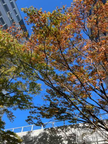 新潟デリヘル五十路マダム新潟店(カサブランカグループ)(イソジマダムニイガタテン) 夏目みな(51)の11月23日写メブログ「寒い」