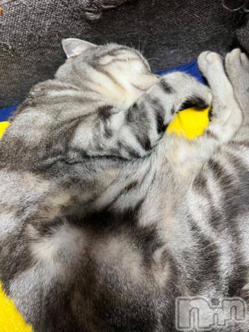 新潟デリヘル五十路マダム新潟店(カサブランカグループ)(イソジマダムニイガタテン) 夏目みな(51)の11月27日写メブログ「おはようございます」