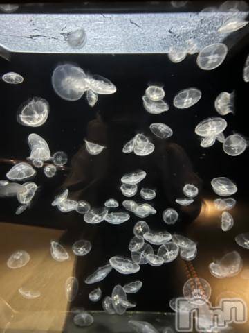 新潟デリヘル五十路マダム新潟店(カサブランカグループ)(イソジマダムニイガタテン) 夏目みな(51)の1月8日写メブログ「人生初の」