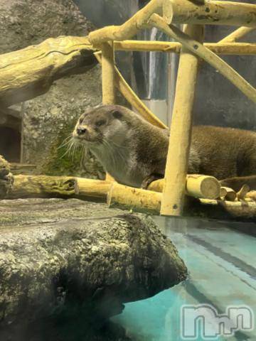 新潟デリヘル五十路マダム新潟店(カサブランカグループ)(イソジマダムニイガタテン) 夏目みな(51)の1月14日写メブログ「あれ？」