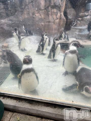 新潟デリヘル五十路マダム新潟店(カサブランカグループ)(イソジマダムニイガタテン) 夏目みな(51)の2月3日写メブログ「また…」