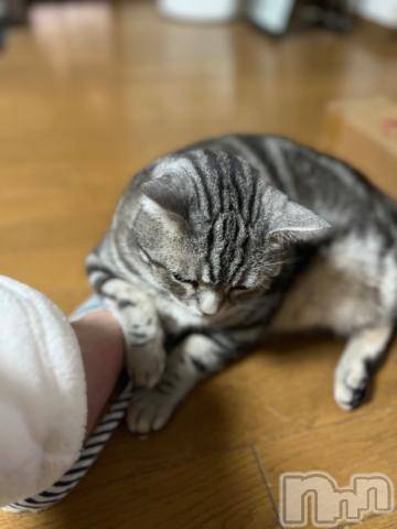 新潟デリヘル五十路マダム新潟店(カサブランカグループ)(イソジマダムニイガタテン) 夏目みな(51)の2月22日写メブログ「微妙に」