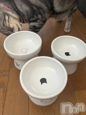 新潟デリヘル五十路マダム新潟店(カサブランカグループ)(イソジマダムニイガタテン) 夏目みな(51)の3月13日写メブログ「確認」